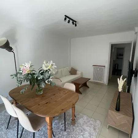 Le Niquet Spacious 2-bedroom In The Heart Of אנטיב