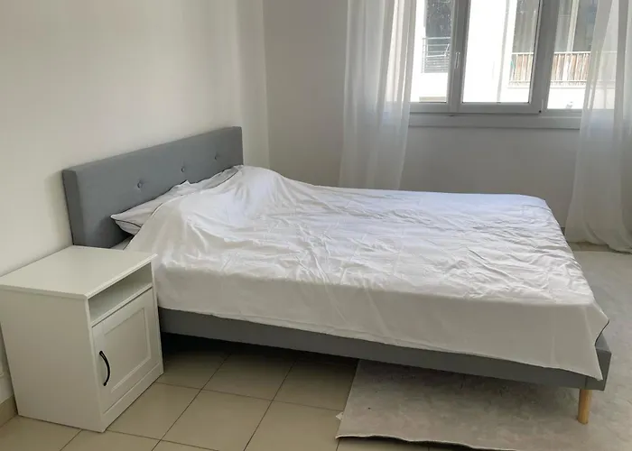 Le Niquet Spacious 2-bedroom In The Heart Of شقة أنتيب