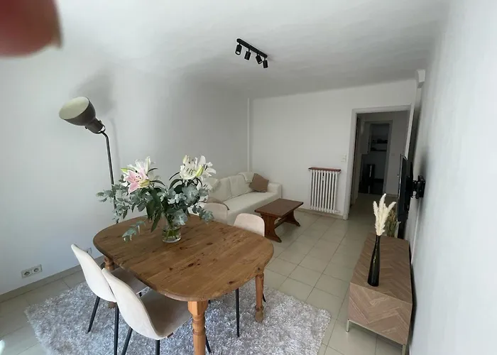 Le Niquet Spacious 2-bedroom In The Heart Of Antibes